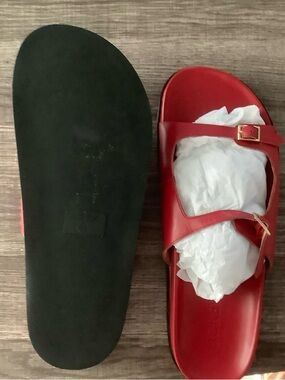 J. Crew Red Double-Strap Slide Sandals with Gold Buckles